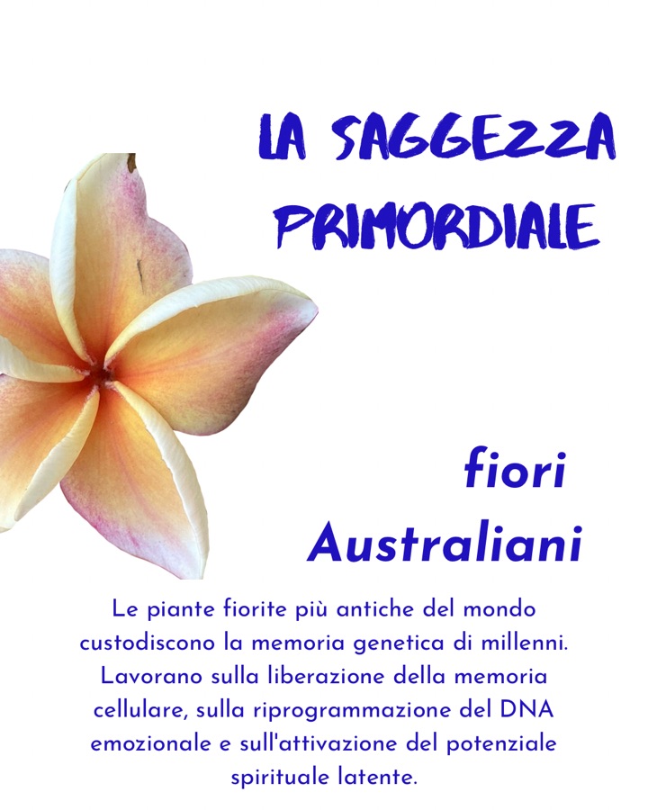 La saggezza primordiale dei fiori australiani